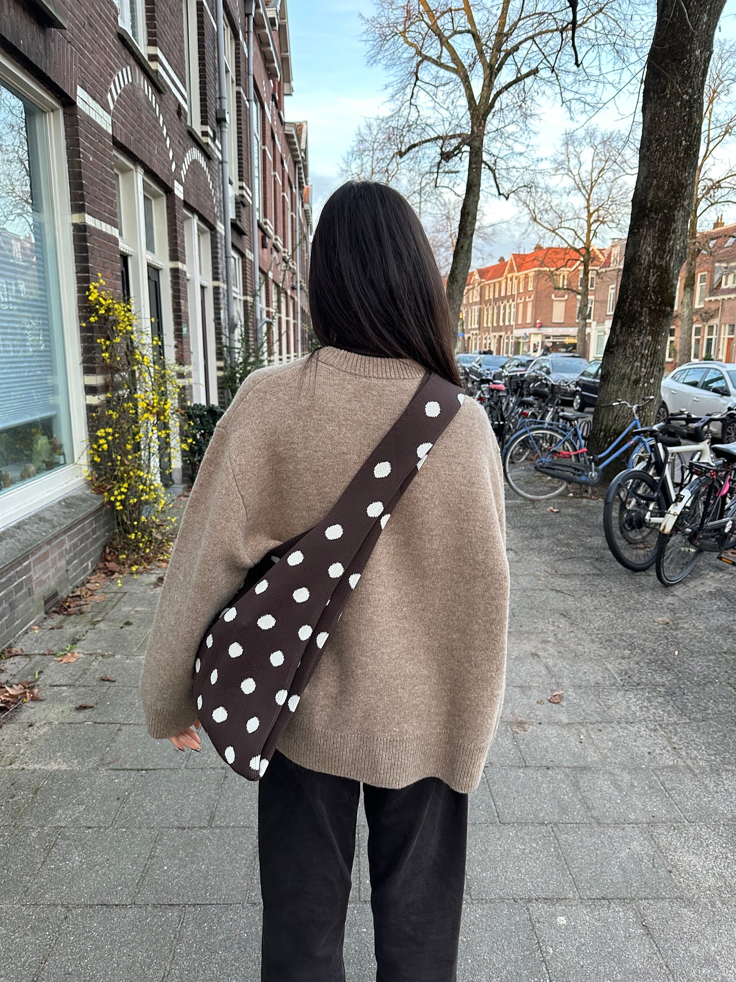 Polkadot Crossbody
